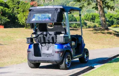 Electric Medium Speed Vehicles: A New Trend in Sustainable Golf Courses