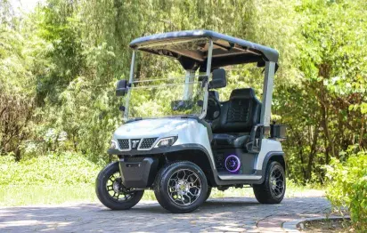 How to Choose the Right Electric Medium Speed Vehicle