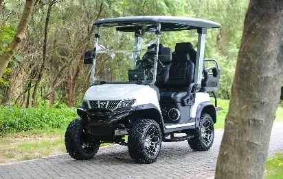 Tara Explorer 2+2: Redefining Electric Medium Speed Vehicles