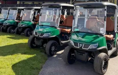 Should Golf Courses Hire, Lease, or Buy Their Medium Speed Vehicle Fleets?