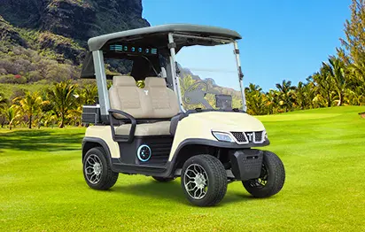 Tara Spirit Plus: The Ultimate Medium Speed Vehicle Fleet for Clubs