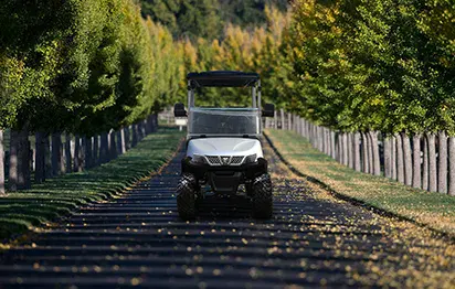 Medium Speed Vehicle: The Perfect Companion for Fall Outings
