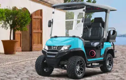 Electric Medium Speed Vehicles Beyond the Golf Course