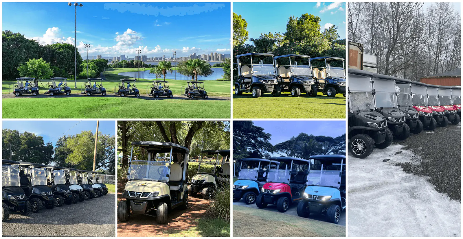 Tara Spirit Plus Medium Speed Vehicles in Golf Club Operations