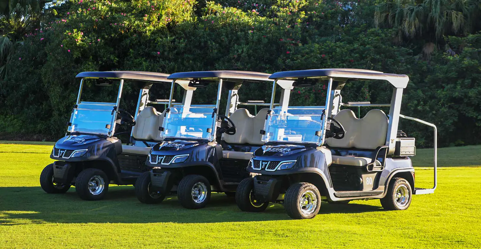 Tara 6 Seater Medium Speed Vehicle