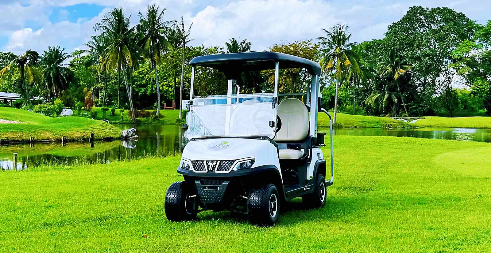 Fast Medium Speed Vehicles with High-Speed Electric Power by Tara