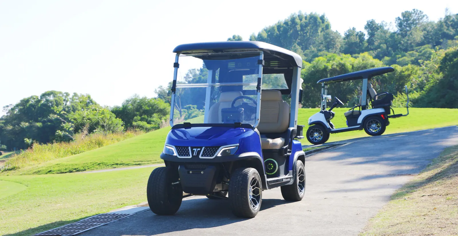 Tara Spirit Plus Electric Medium Speed Vehicle with Lithium Battery on Golf Course