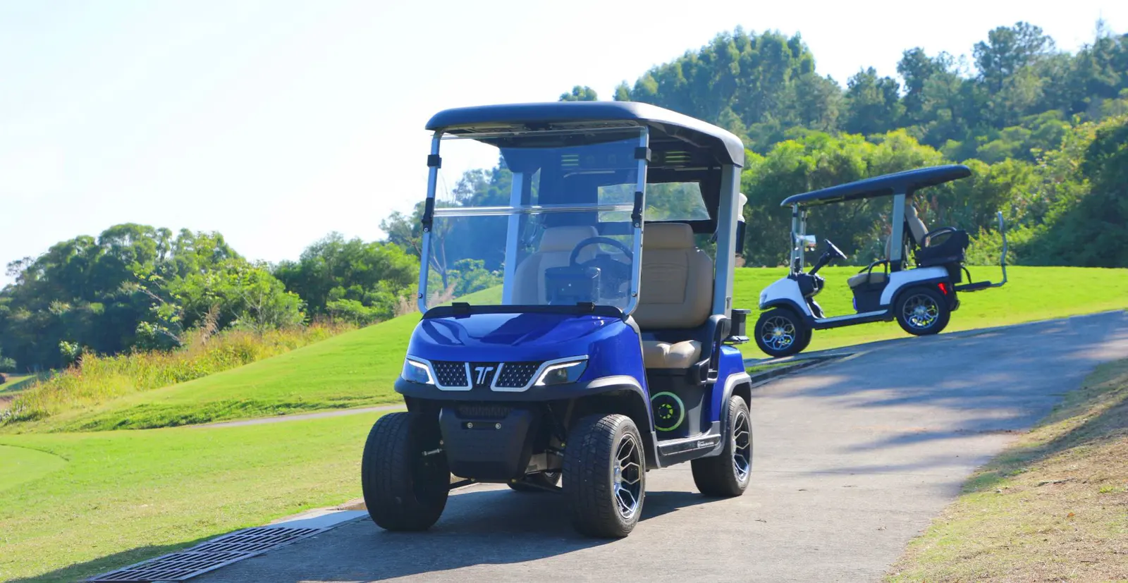 Tara Electric 8 Passenger Medium Speed Vehicle