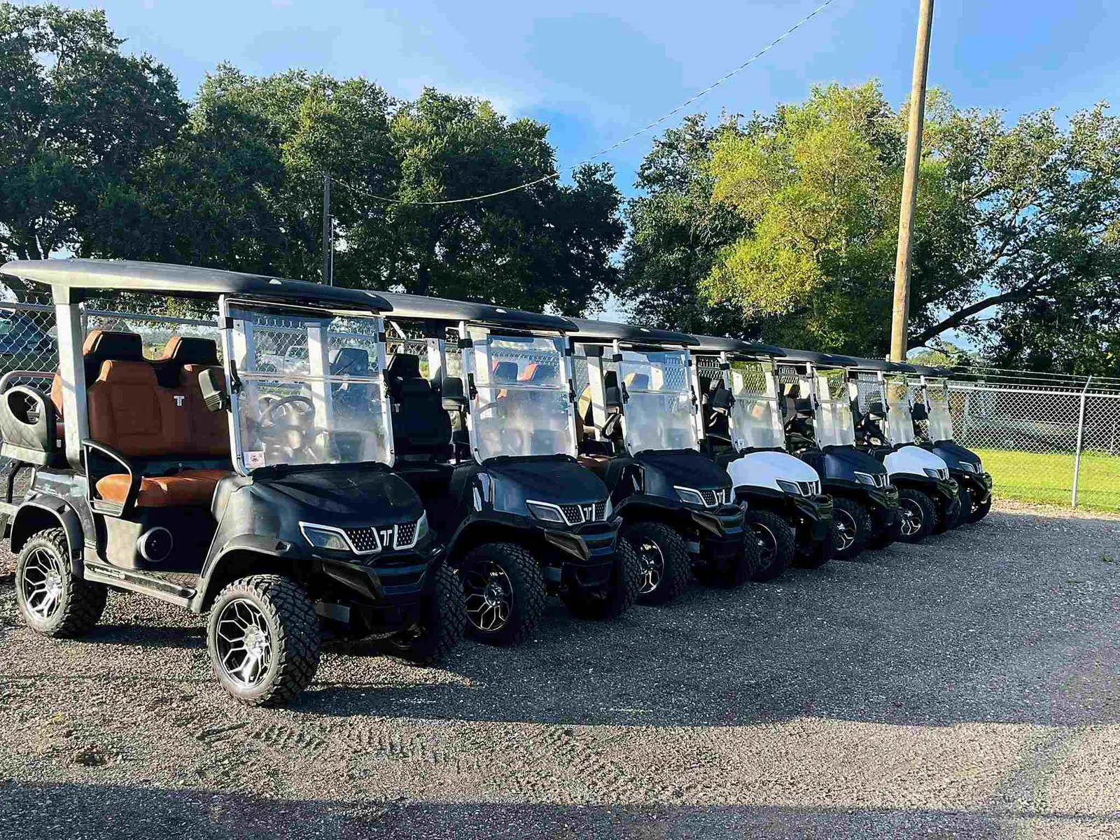 New Medium Speed Vehicles Fleet on Golf Course