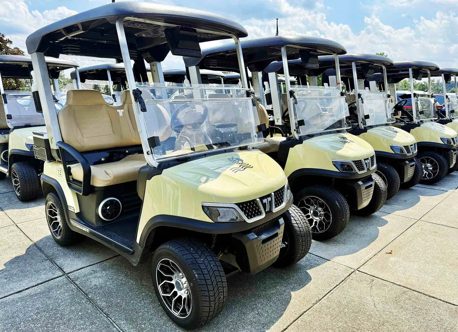 Smart Golf Course Management with Electric Carts