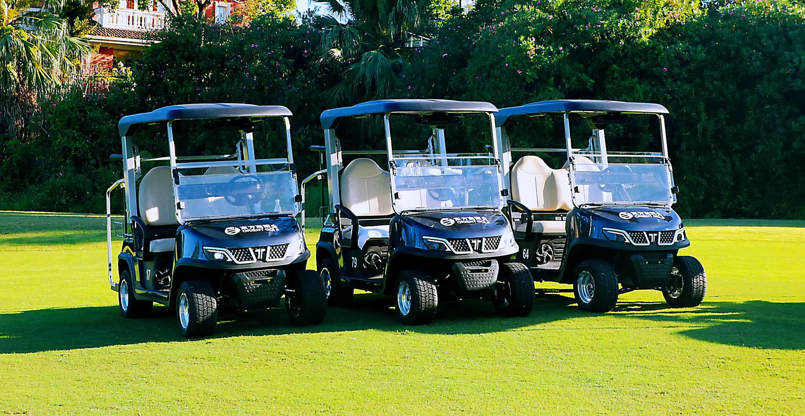 Standard 2 Seater Medium Speed Vehicle Dimensions