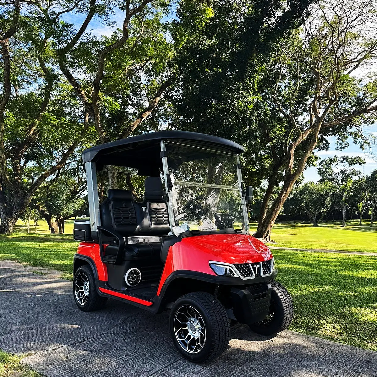 tara electric golf car