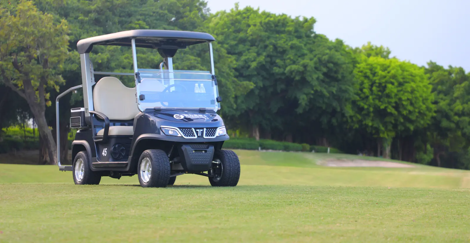 Tara Harmony mini electric medium speed vehicle on golf green