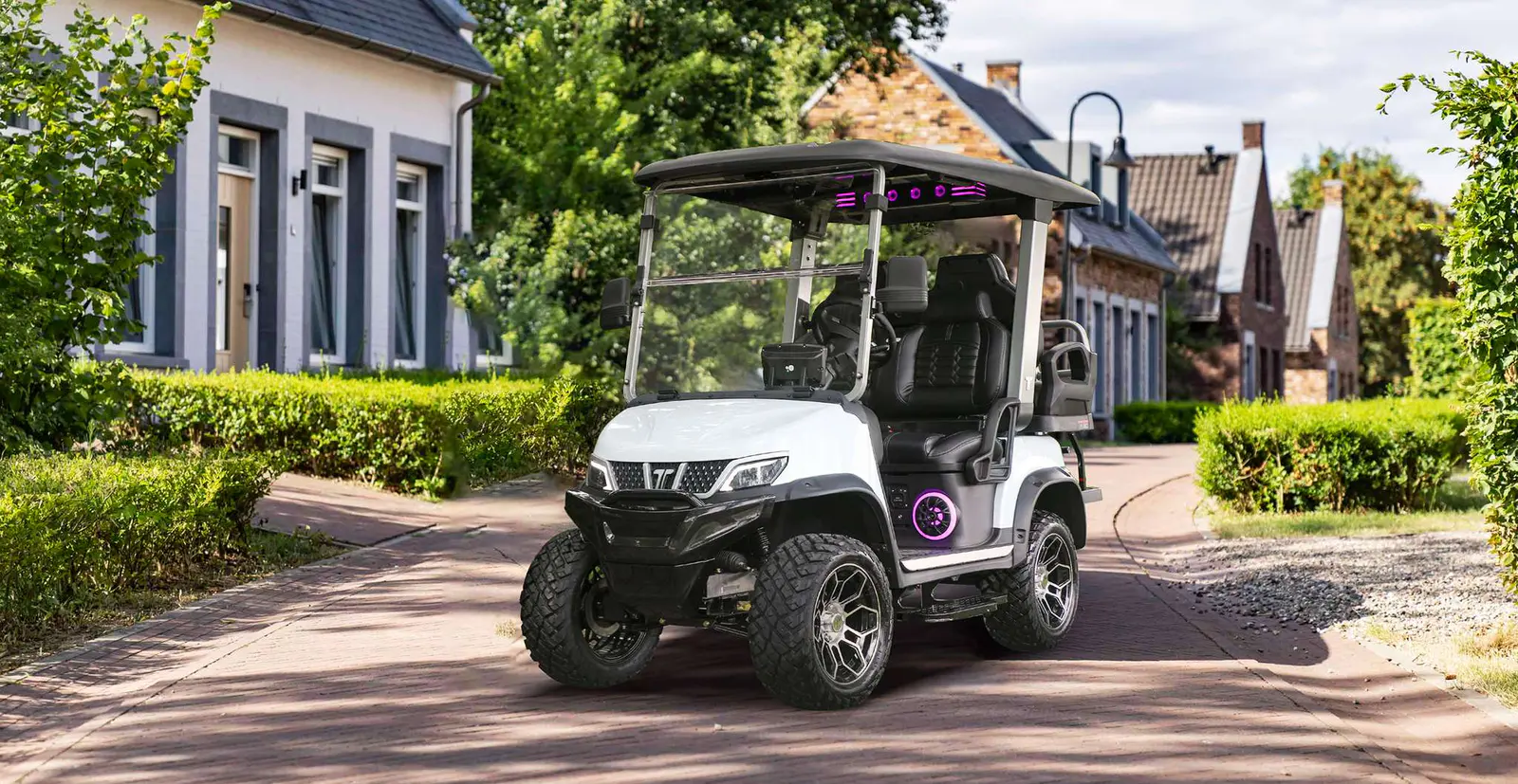 TARA Medium Speed Vehicles Powered by Electric Motor