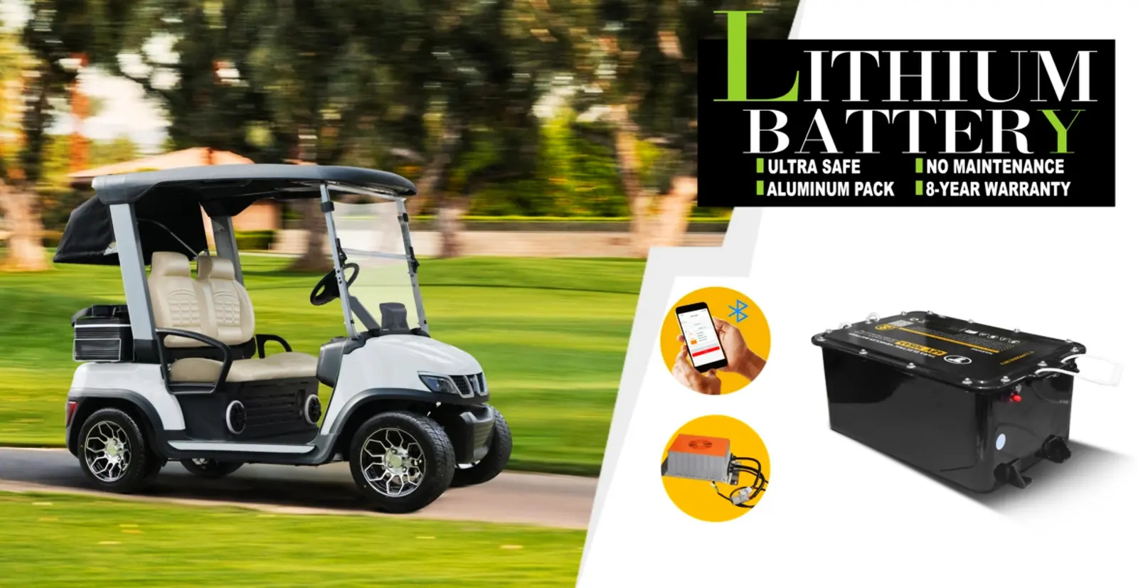 Tara electric medium speed vehicle with lithium battery