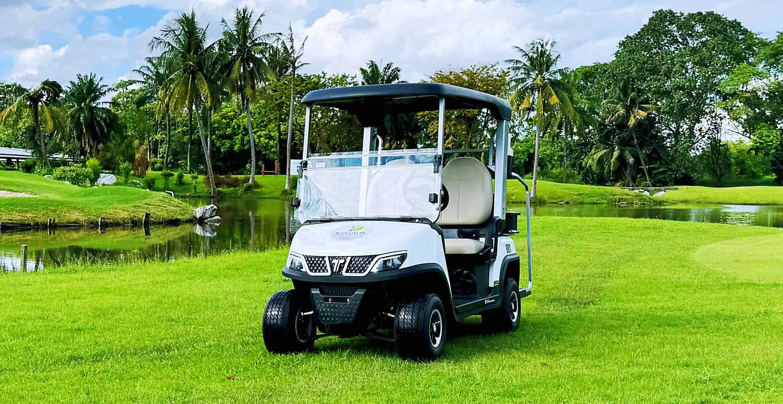 Tara Inexpensive Electric Medium Speed Vehicle – Affordable & Durable