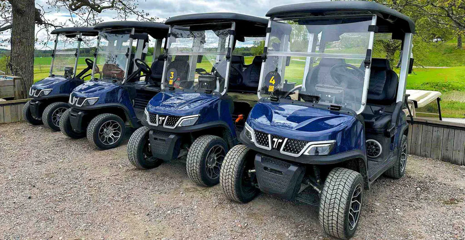 ezgo-vs-tara-golf-cart