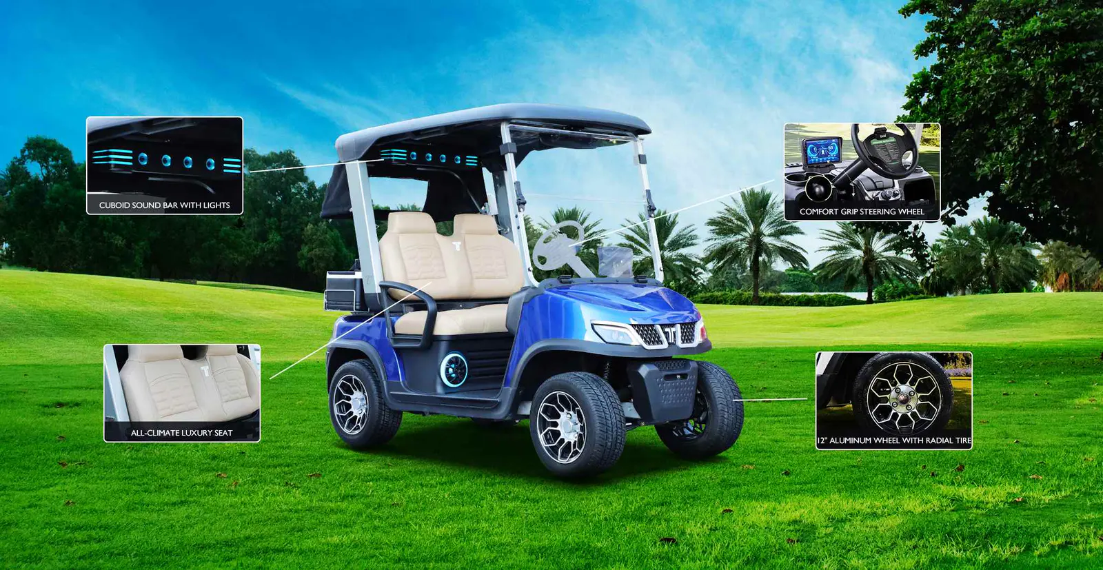 Tara Electric Mobility Solutions Fleet