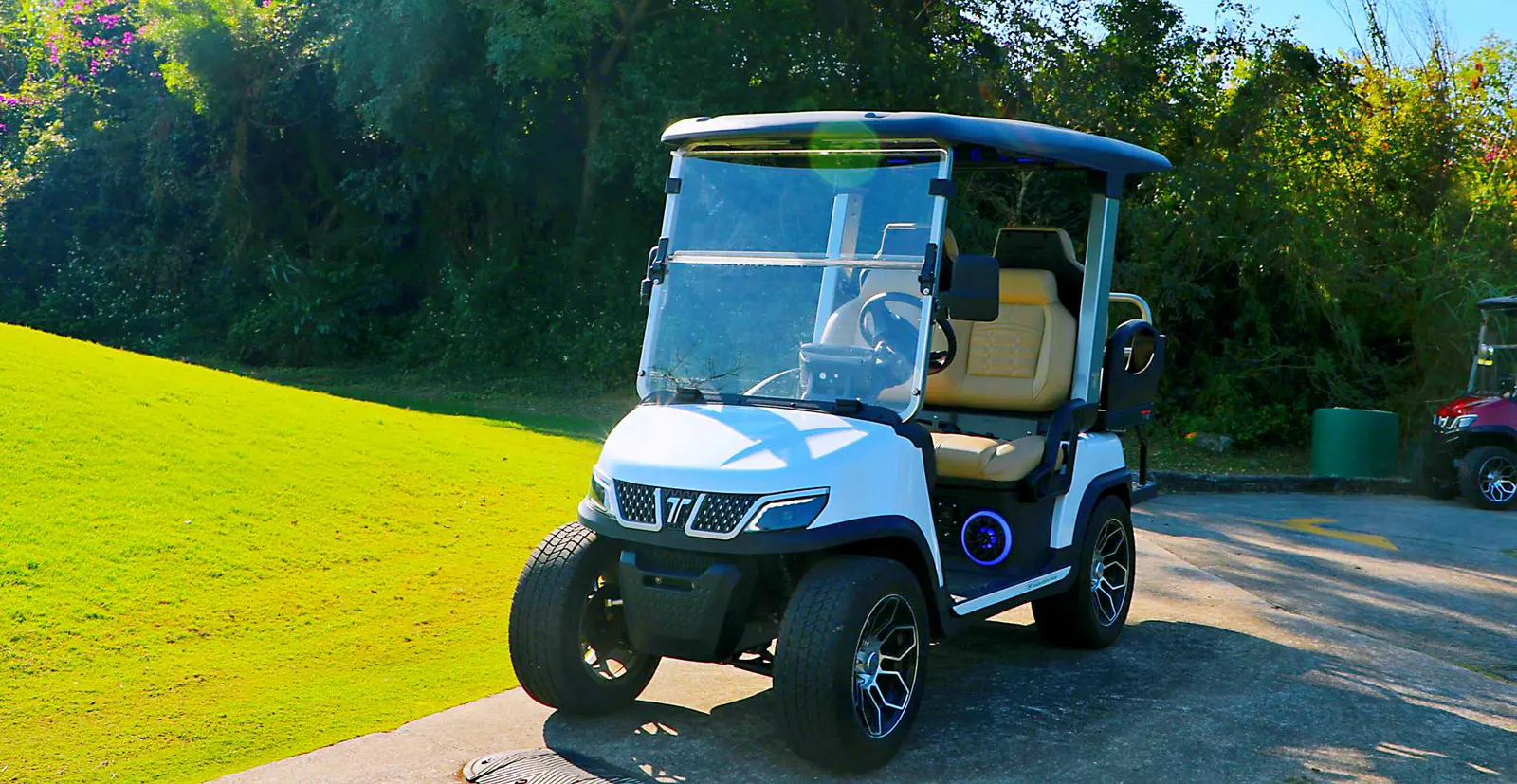 Tara 4 Seat Electric Medium Speed Vehicle Alternative to Go Karts