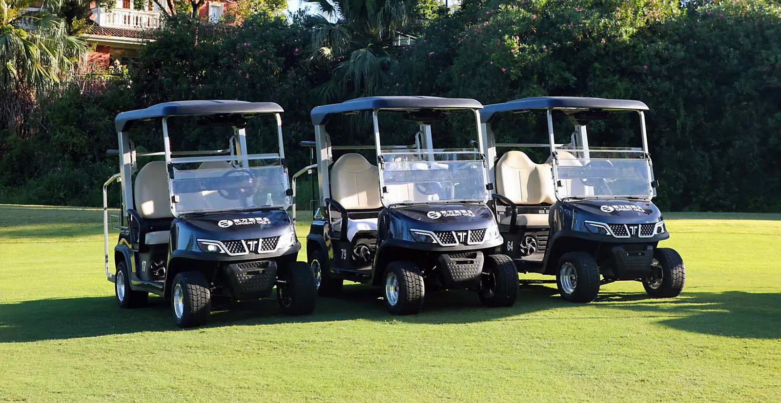 2-passenger-golf-carts-electric-fleet