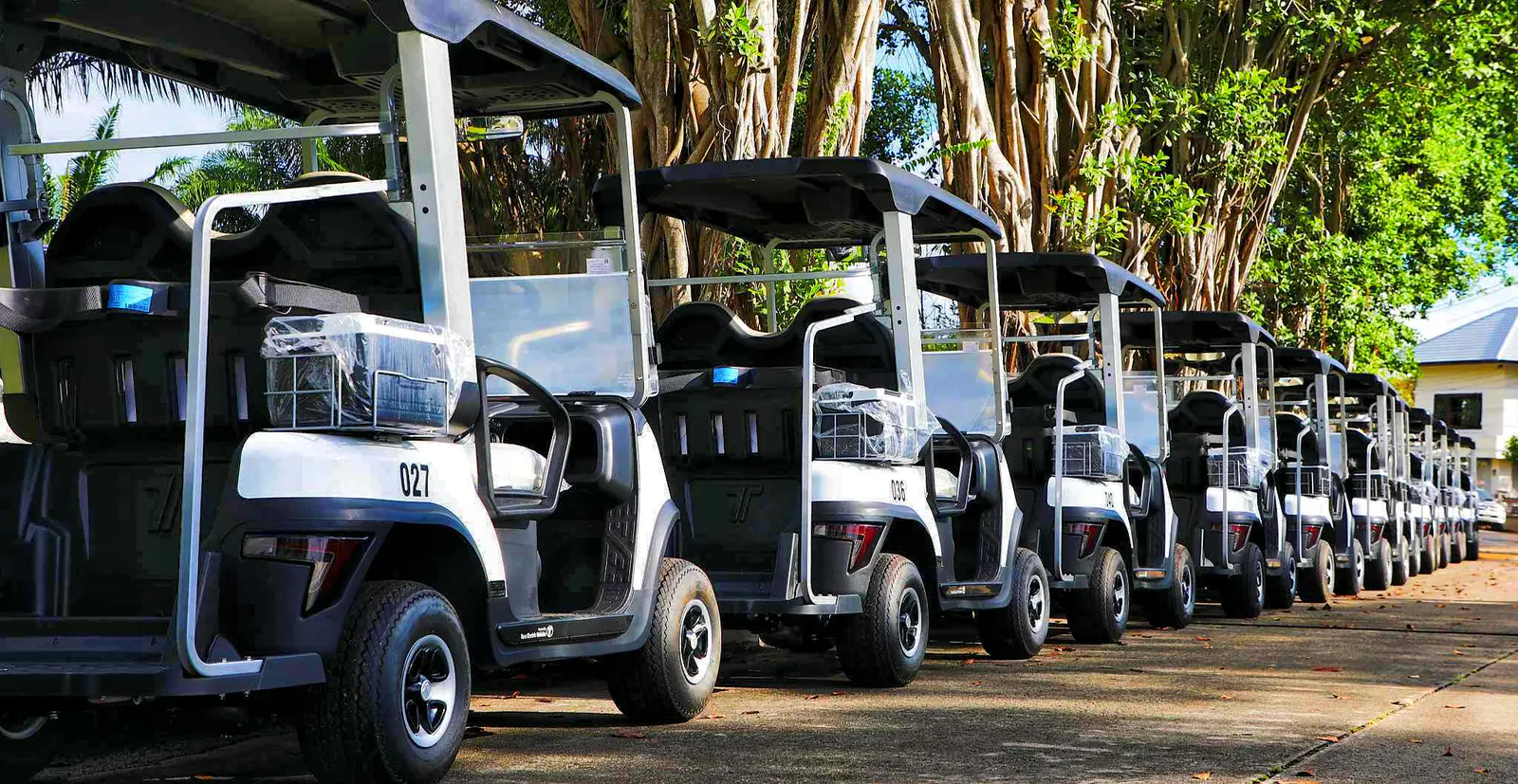 electric-golf-buggies-golf-course-tara