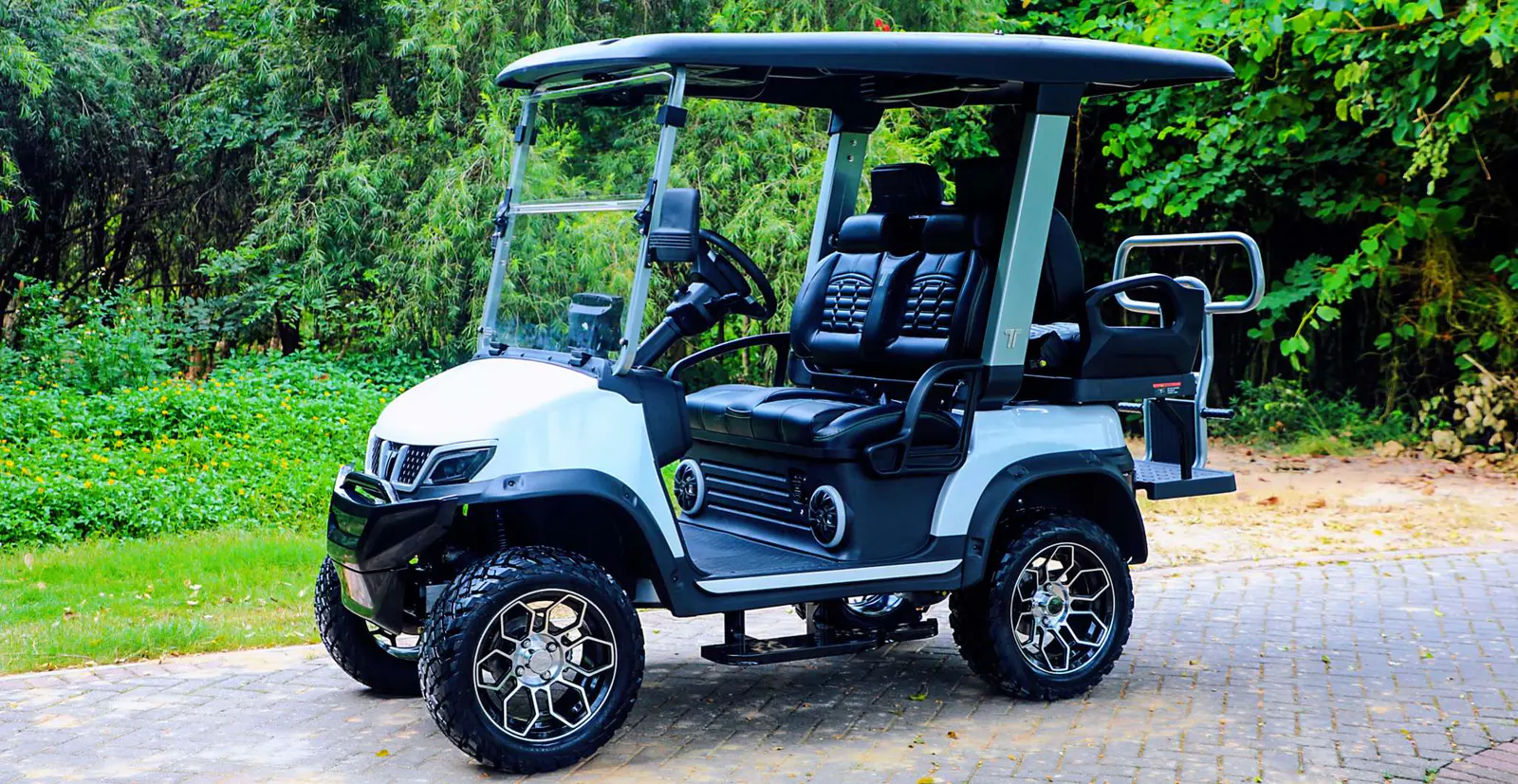 Tara 4 Seater Medium Speed Vehicle in Scenic Environment