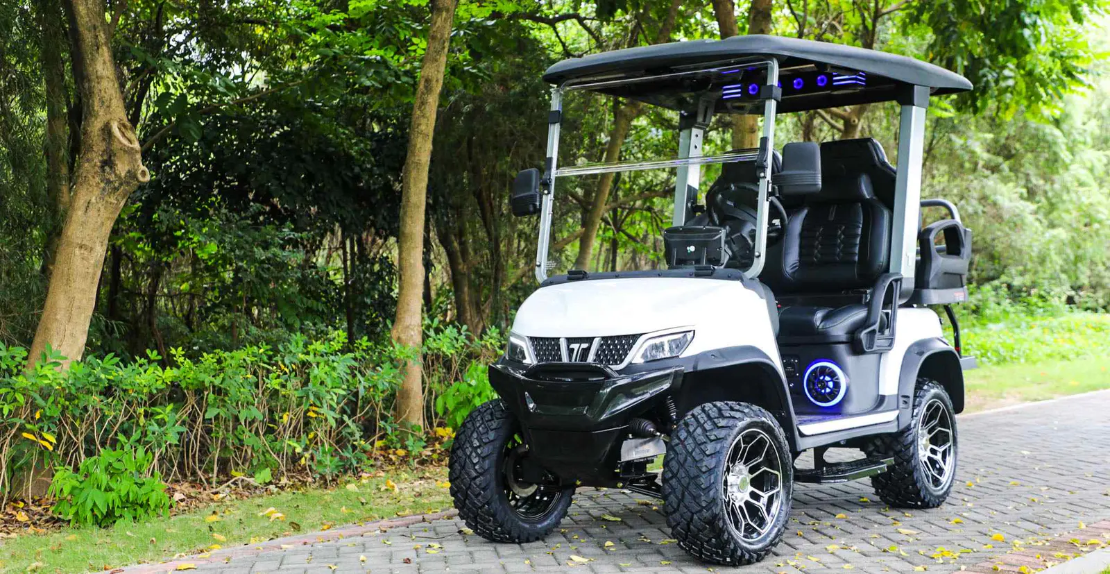 Tara 4 Passenger Medium Speed Vehicle for Multi-Scene Use