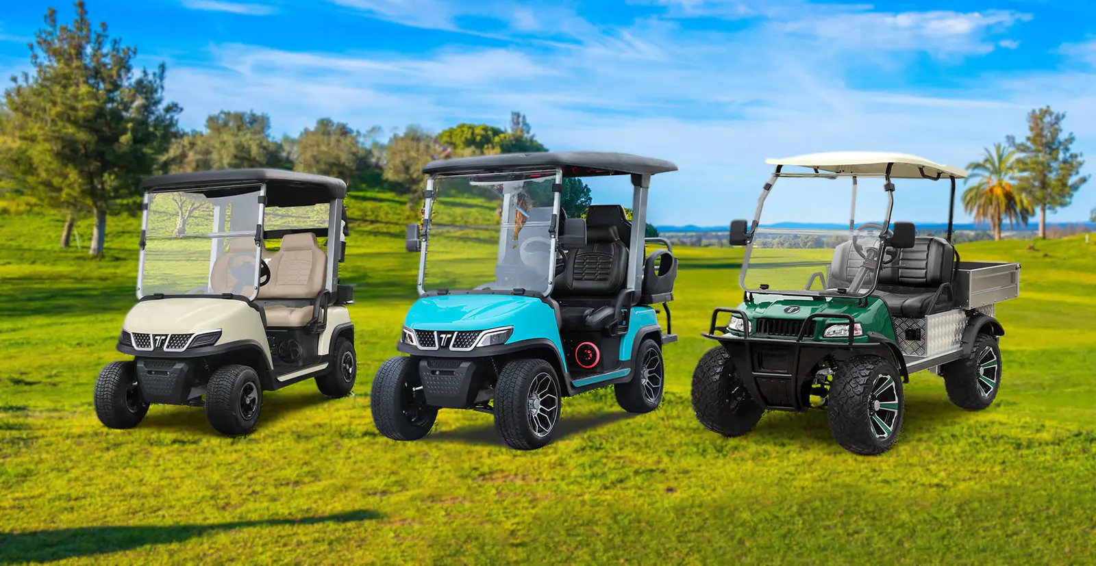 Comparison of Best Electric Golf Push Cart and Tara Electric Medium Speed Vehicle