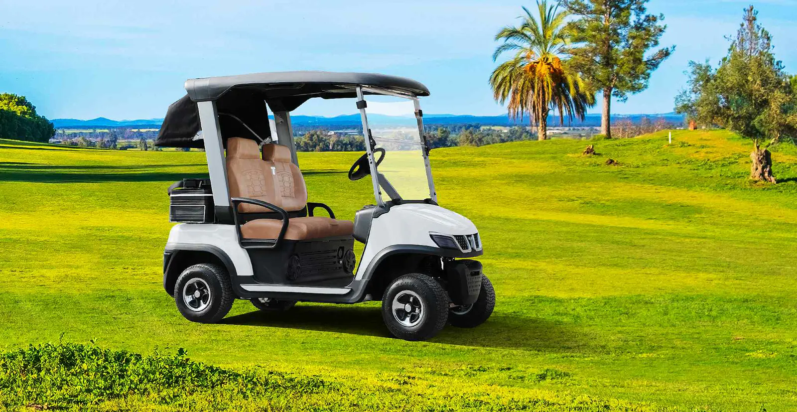 TARA Medium Speed Vehicles Equipped with AC Motor System
