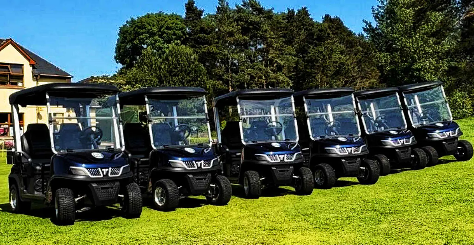 Electric Medium Speed Vehicle Service on Golf Course