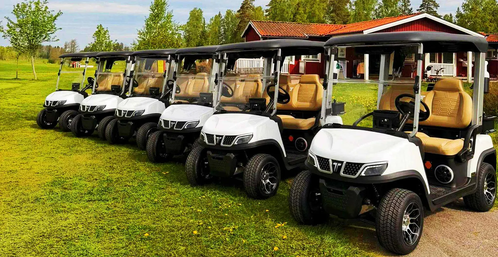 two-passenger-golf-carts