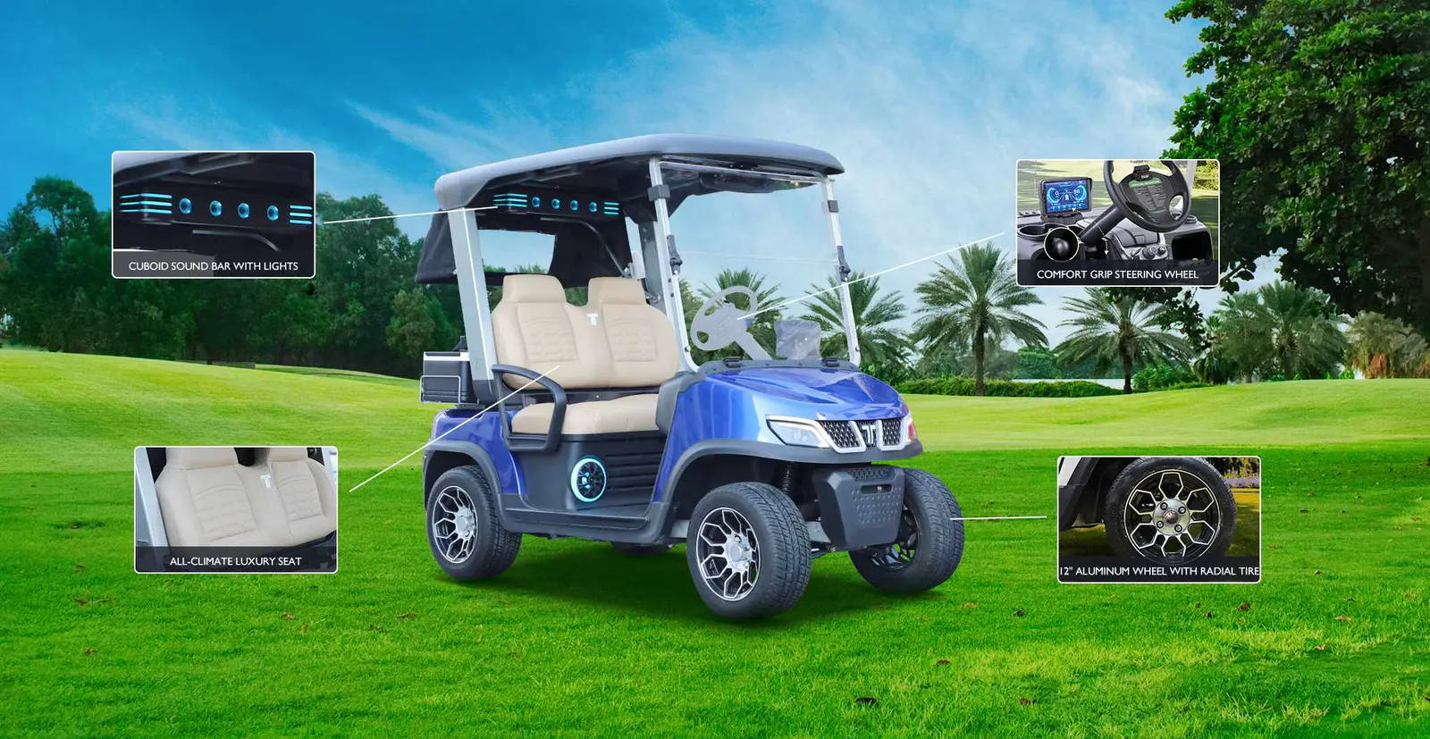 Tara Small Medium Speed Vehicle on Golf Course