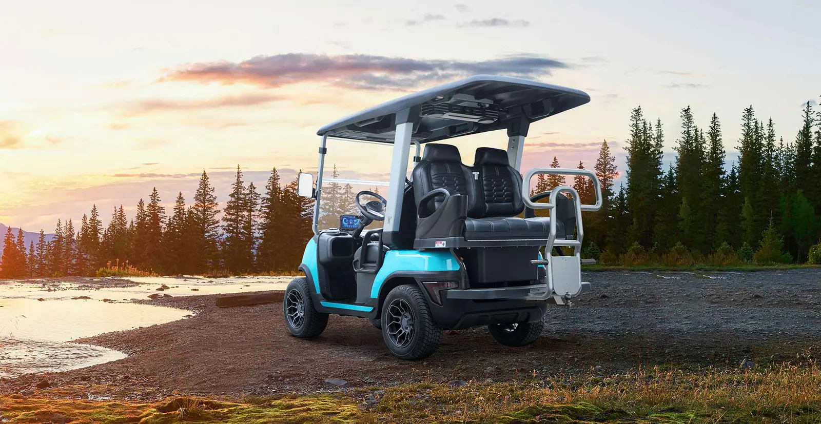 4 Wheel Electric Medium Speed Vehicle by Tara on Golf Course