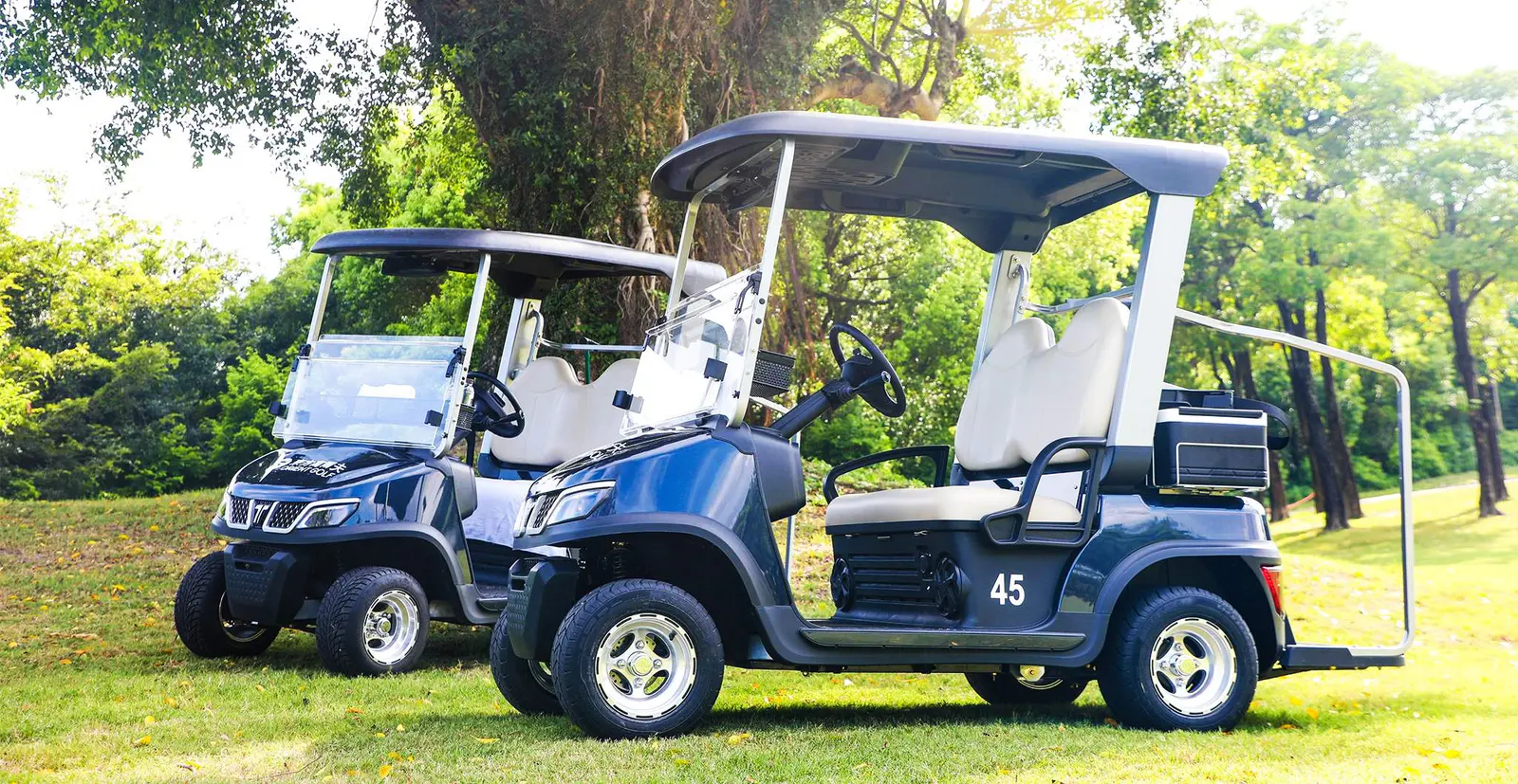 golf-cart-vs-buggy