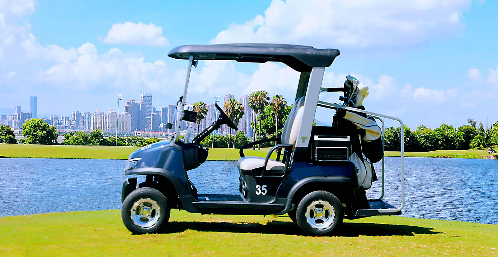 Beach Medium Speed Vehicle for Coastal Living