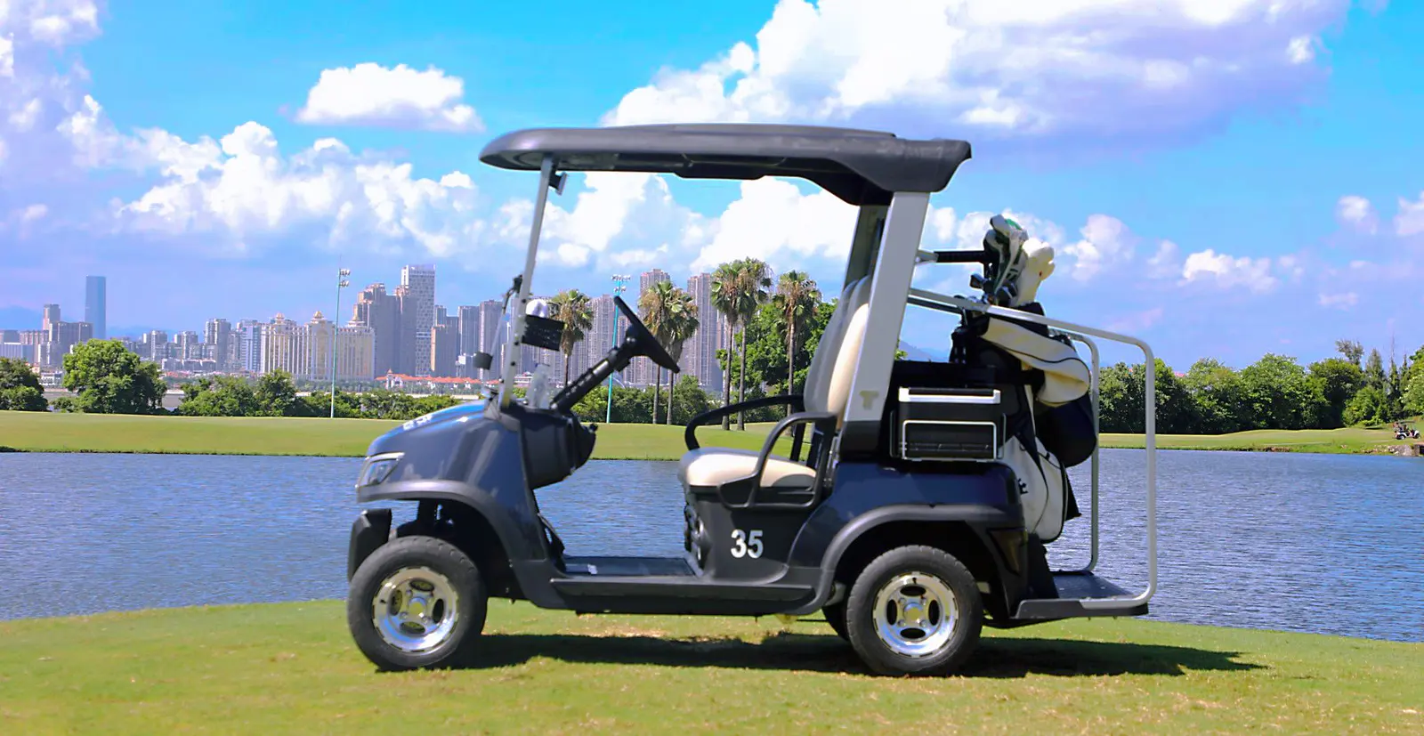 Eco-Friendly TARA Medium Speed Vehicles Deals