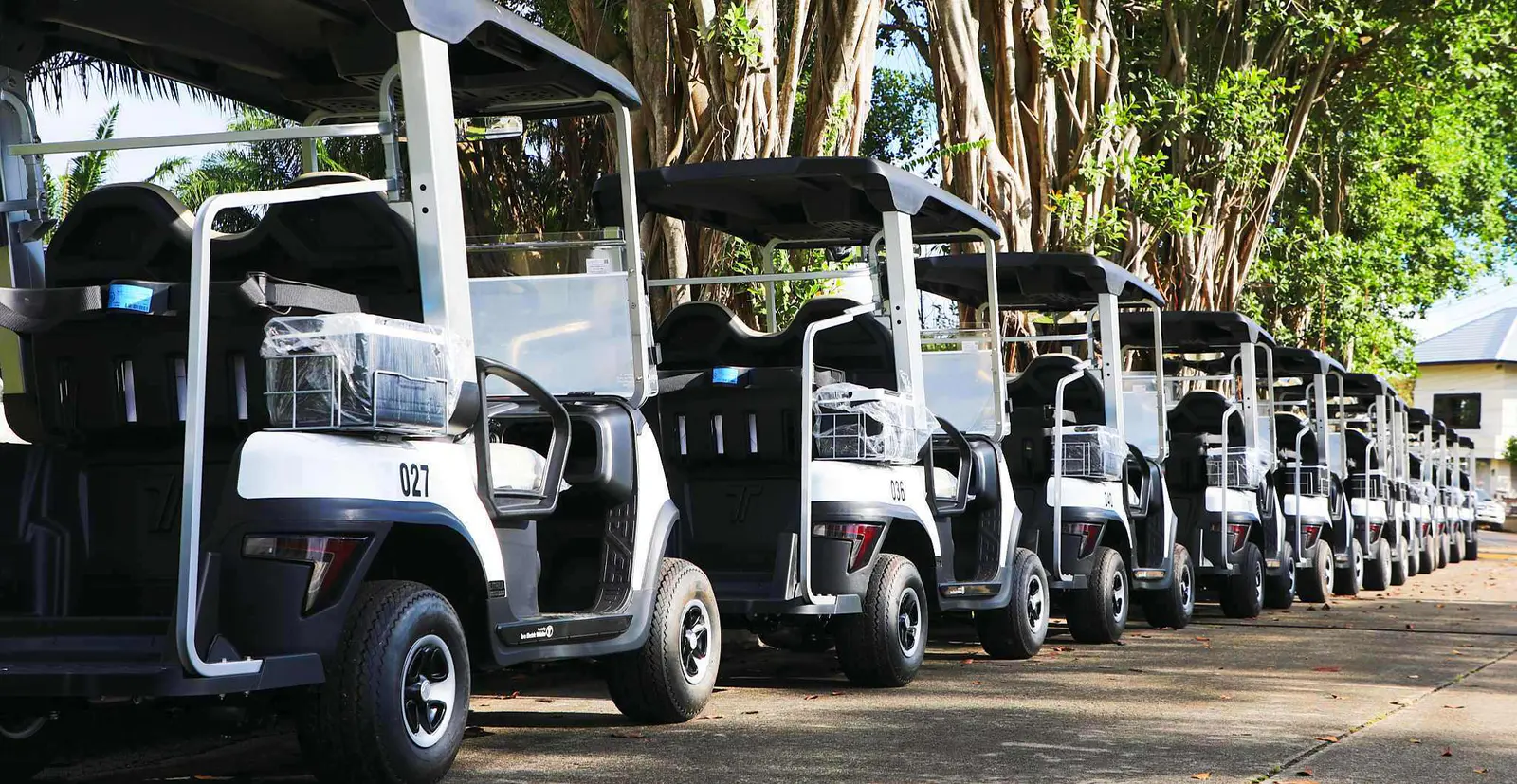 tara-lithium-golf-carts-modern-fleet