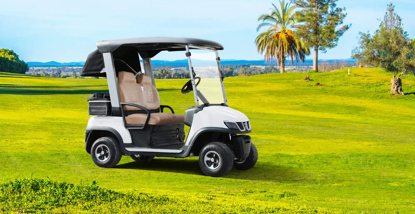 TARA Medium Speed Vehicles Electric Car Builder Options