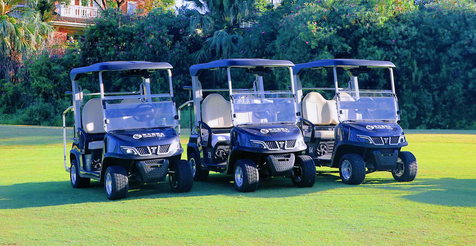 TARA Medium Speed Vehicles Fleet for Rental Business