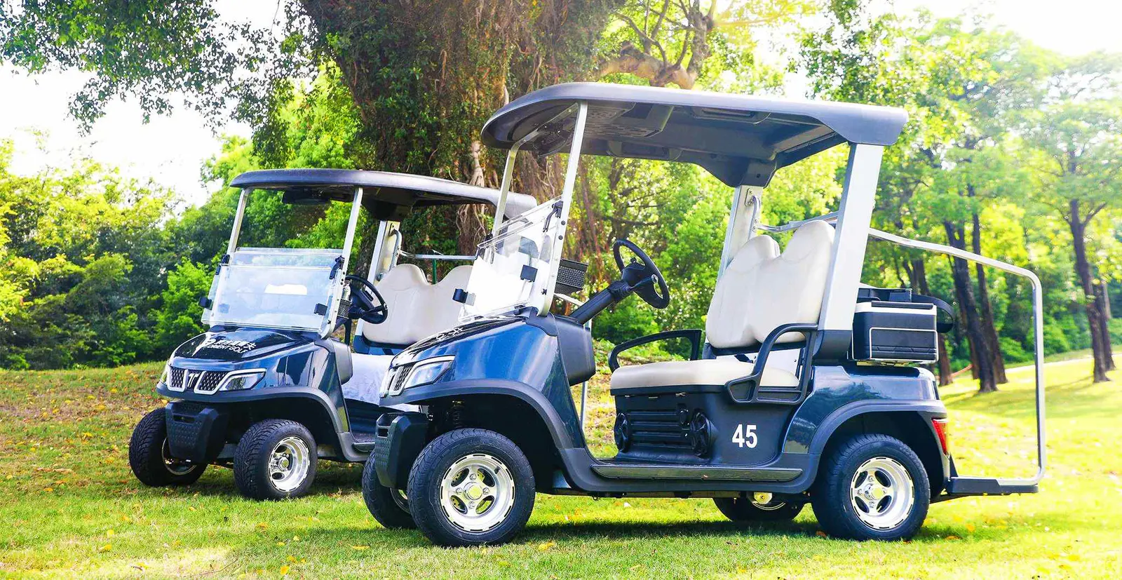 Tara Enclosed Electric Medium Speed Vehicle with Advanced Features