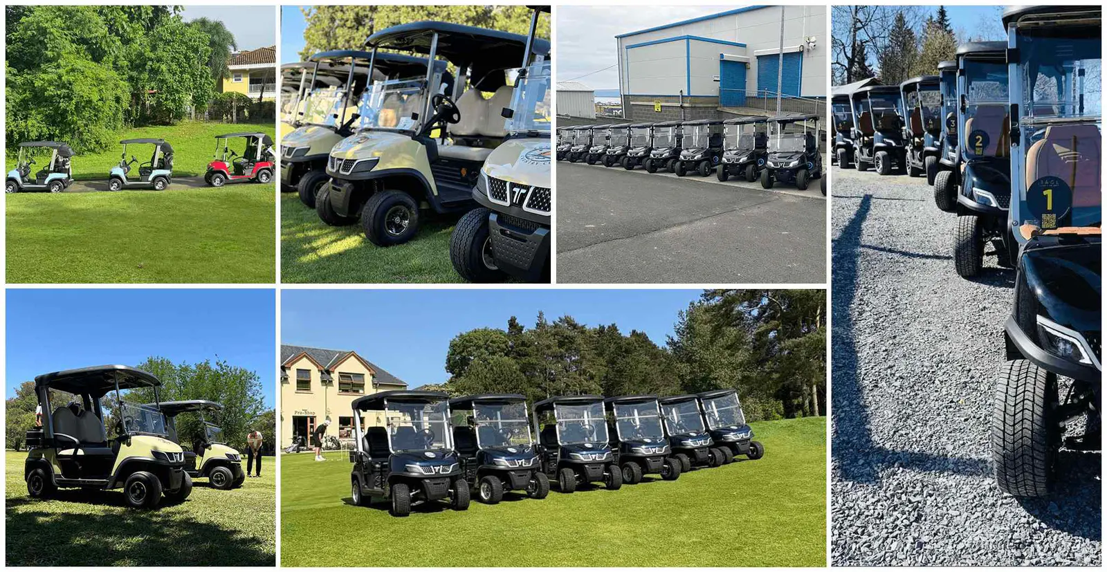 TARA MSV Battery Cart On Golf Course