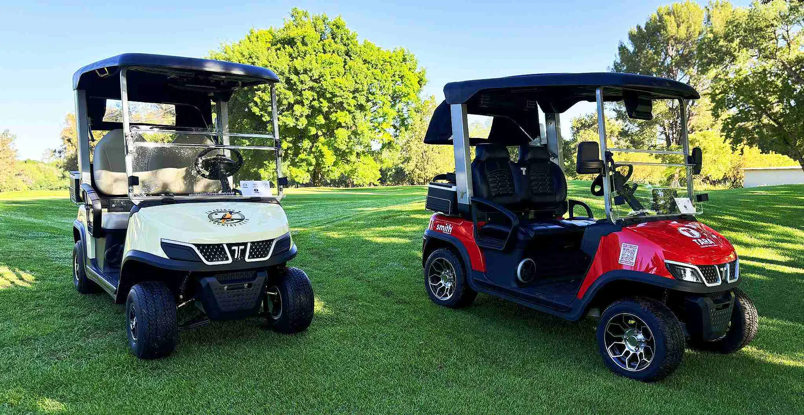 Tara Durable Medium Speed Vehicle Bodies for Electric Carts