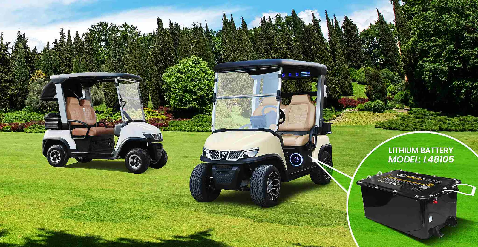 Mini Medium Speed Vehicle for Golf Course Transportation