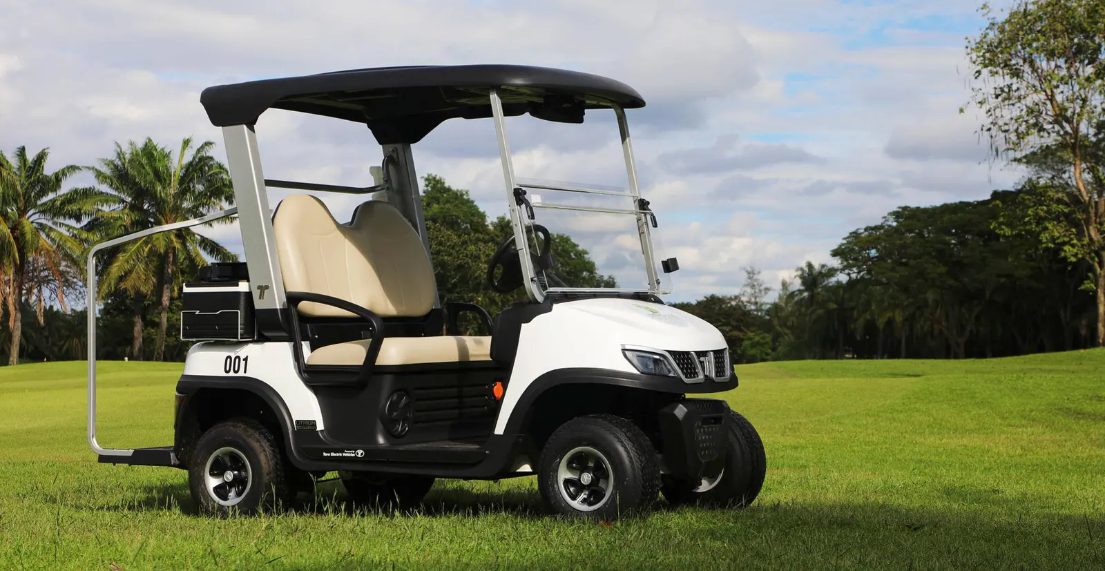 tara-lithium-golf-cart-with-roof