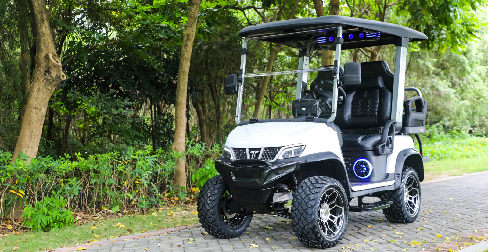 tara medium speed vehicle lsv