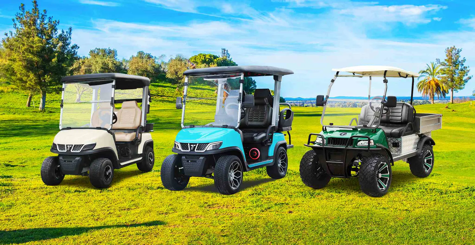 Electric Medium Speed Vehicle Insurance Coverage