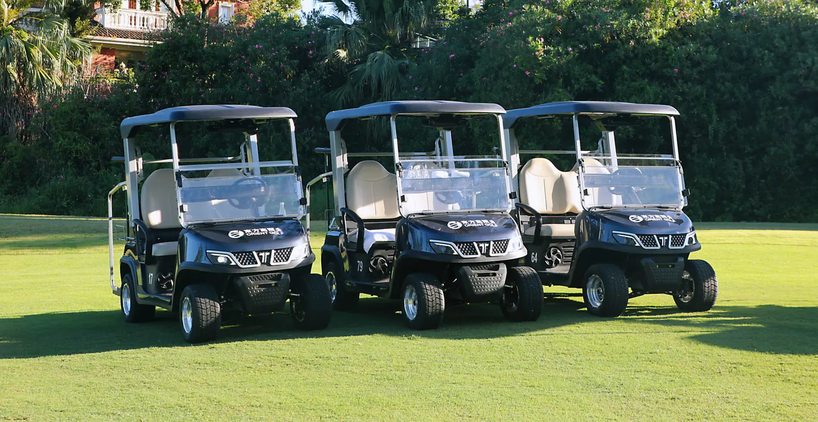 TARA Medium Speed Vehicles Fleet on 9 Hole Golf Course