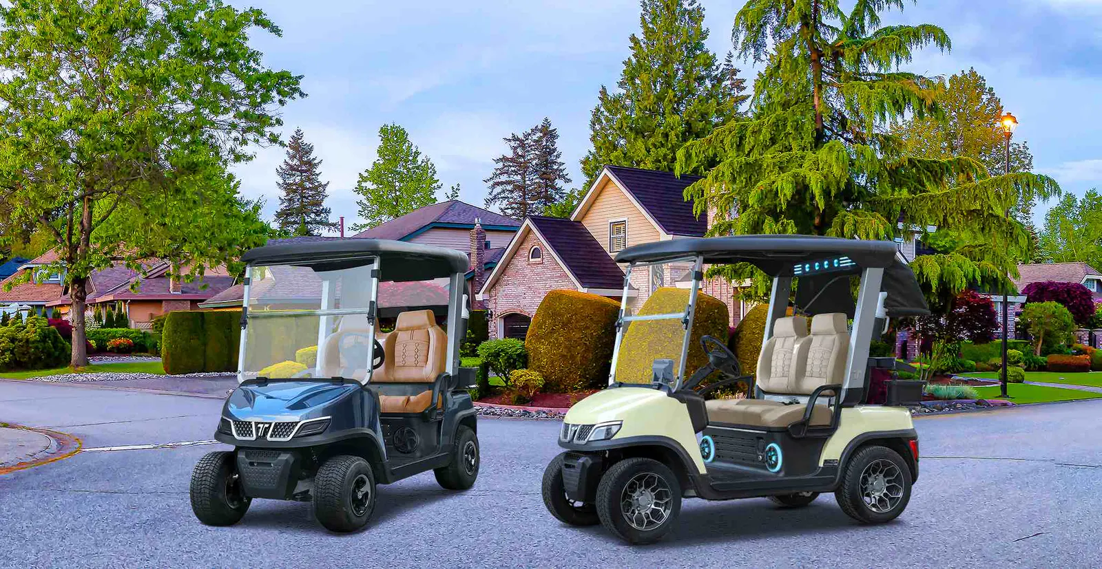 inexpensive-golf-carts-electric-tara