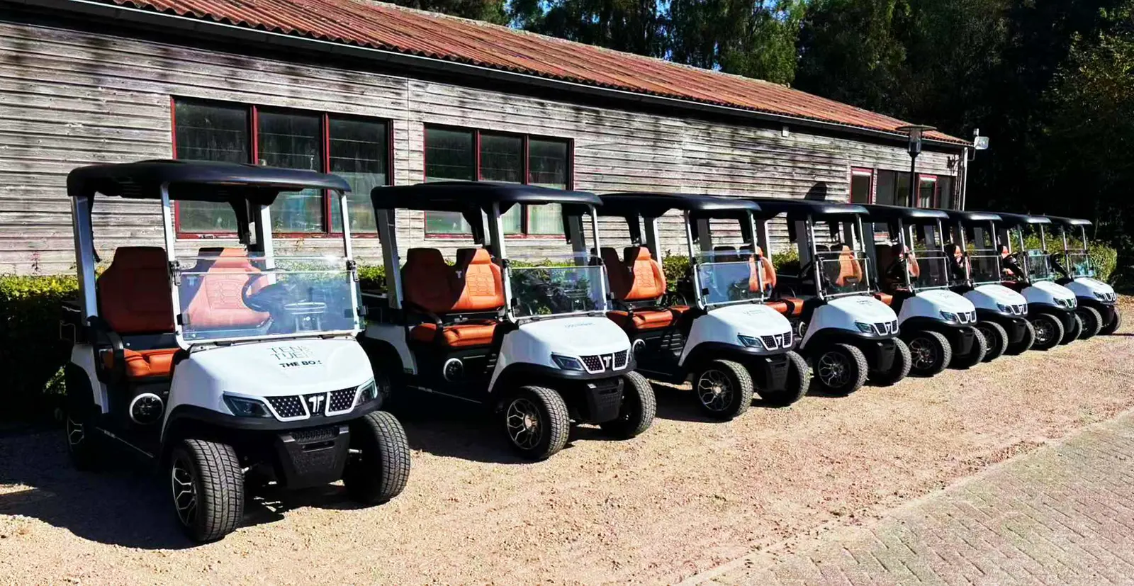 Tara Small Electric Cart – Compact Medium Speed Vehicle for Urban and Resort Use
