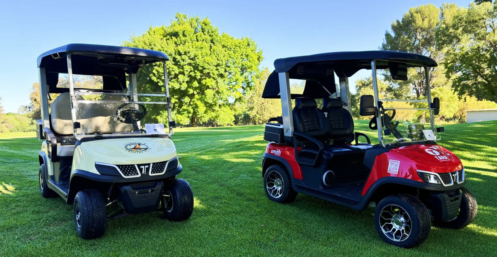 Quiet Eco-Friendly Medium Speed Vehicle Tara on the Course